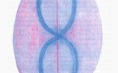 Messaggio del 04.02.2025