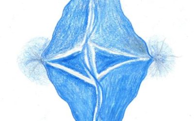 Messaggio del 18.01.2026