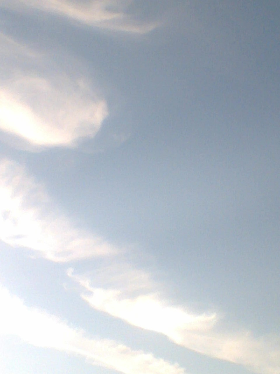 Foto0826