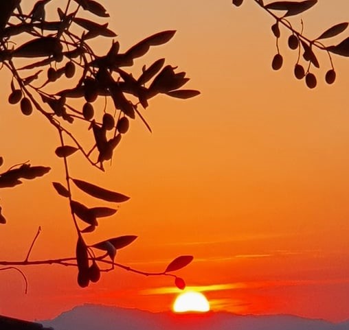 cielo1212