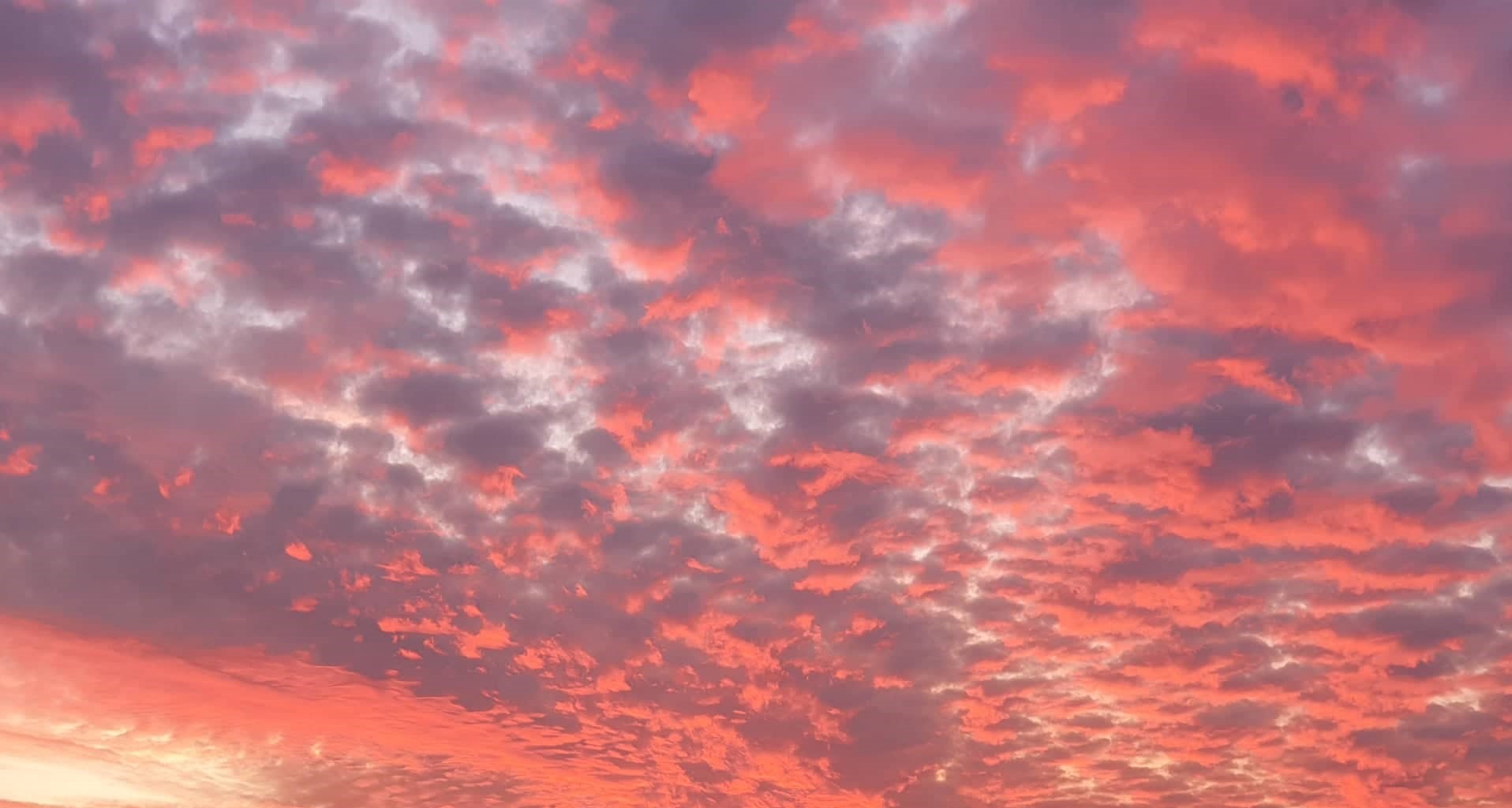 cielo44