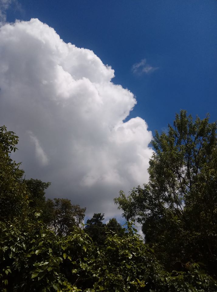 cielofinestra