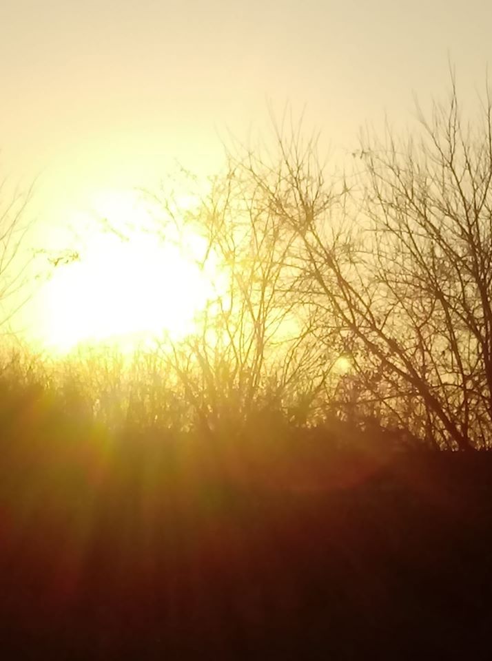 giallo_sole