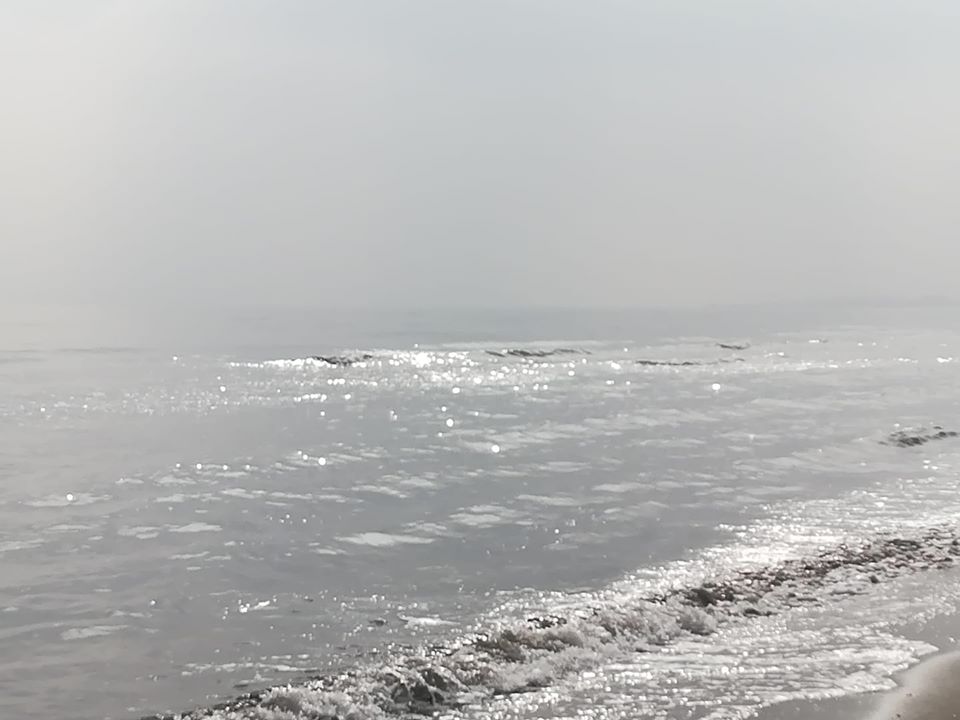 mare_argentato
