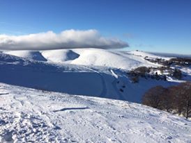 neve