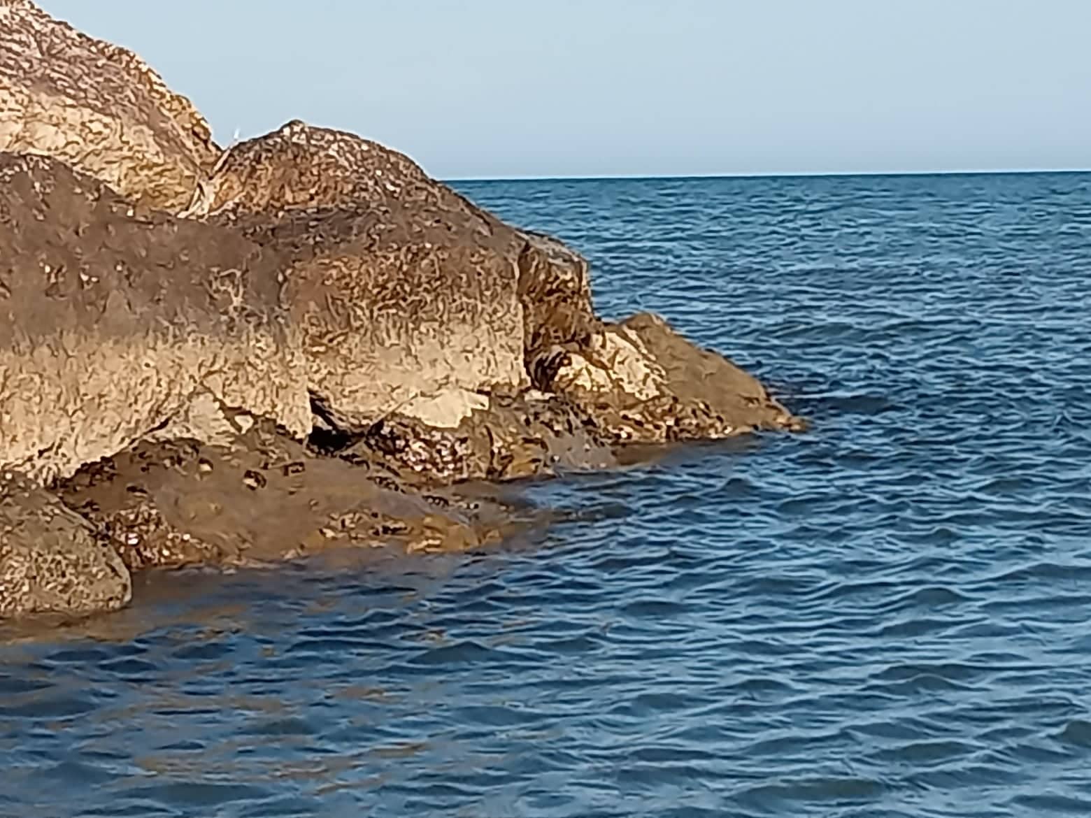 roccia