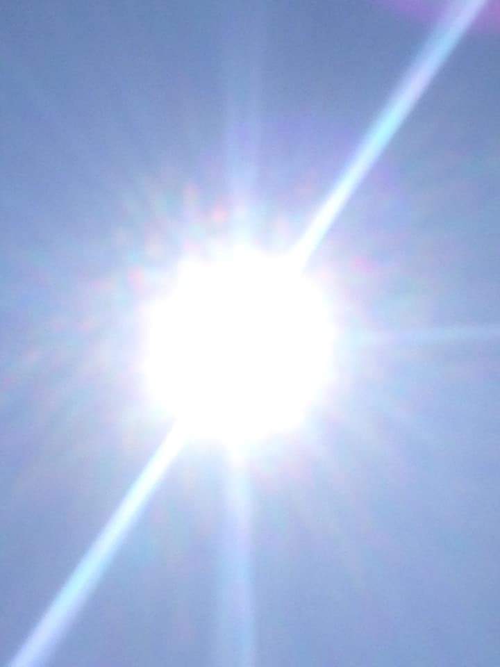 sole