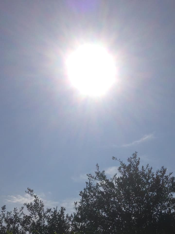 sole_angelo sole_angelo