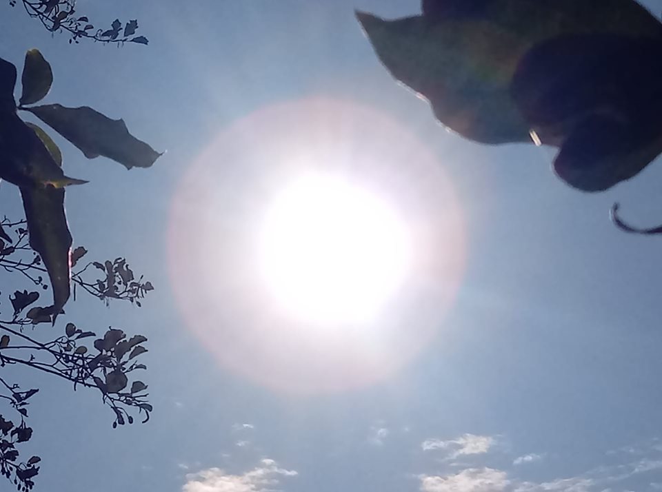 sole_aura_rosa