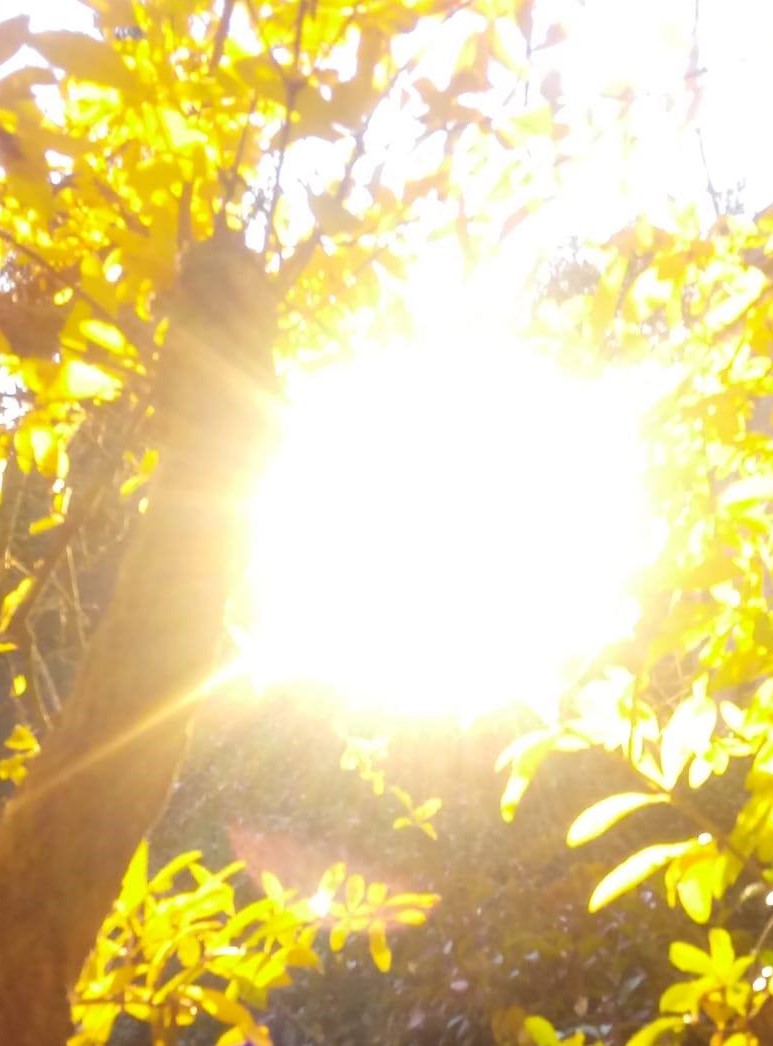 sole_giallo_sito
