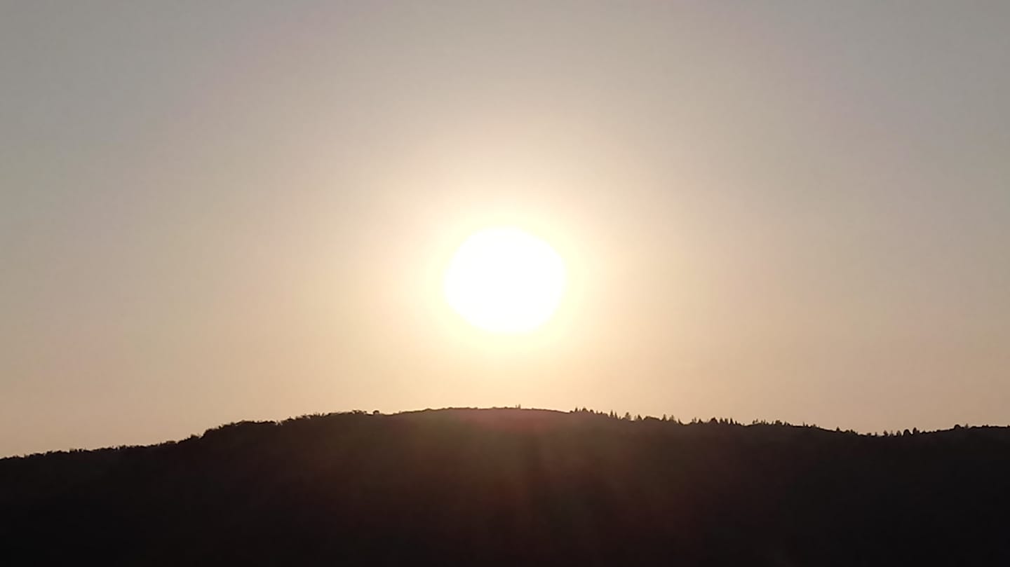 sole_rosa_1 sole_rosa_1