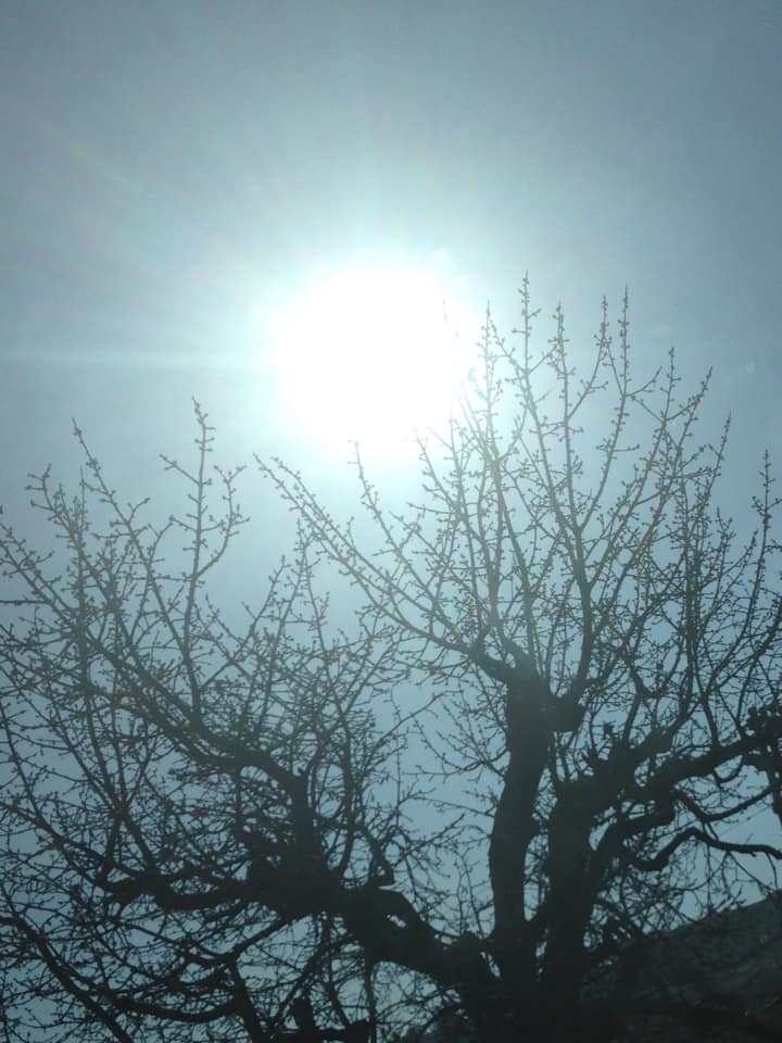 sole_sole