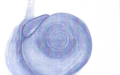 Messaggio del 22.02.2024