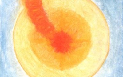 Messaggio del 04.11.2024