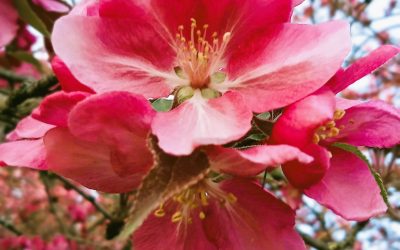 Messaggio del 28.03.2026